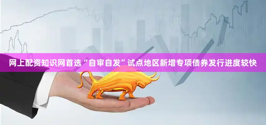 网上配资知识网首选“自审自发”试点地区新增专项债券发行进度较快