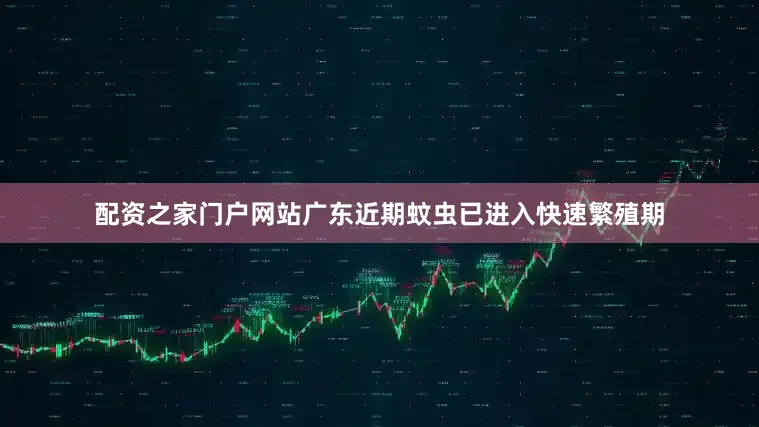 配资之家门户网站广东近期蚊虫已进入快速繁殖期