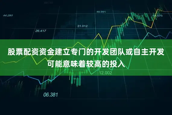 股票配资资金建立专门的开发团队或自主开发可能意味着较高的投入
