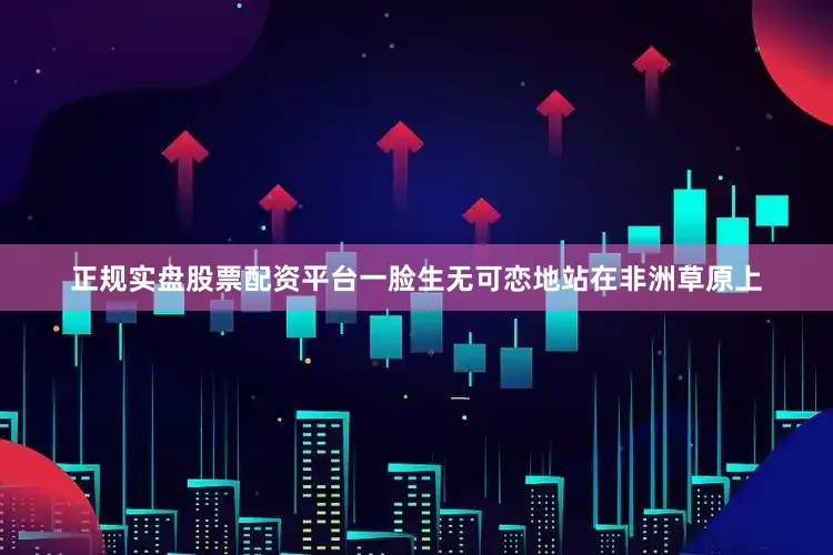 正规实盘股票配资平台一脸生无可恋地站在非洲草原上